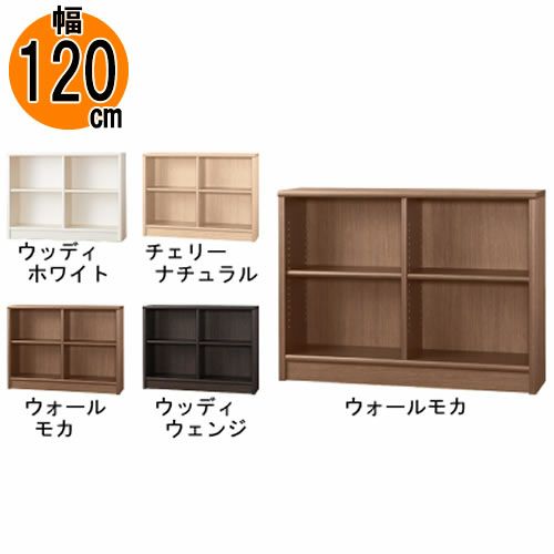 【送料無料】本棚【前面天然木低ホルム】アコード60H