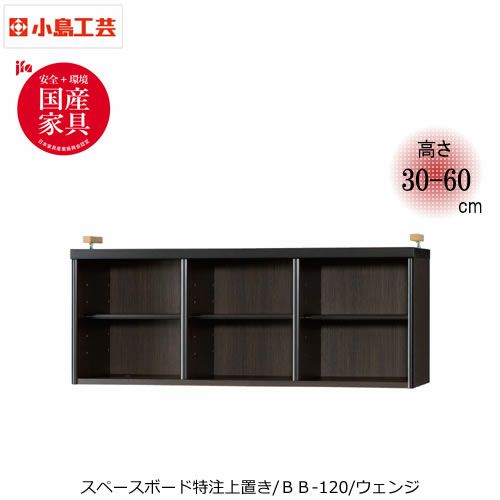 ベーシックボートクチュウBBー120ウェンジ