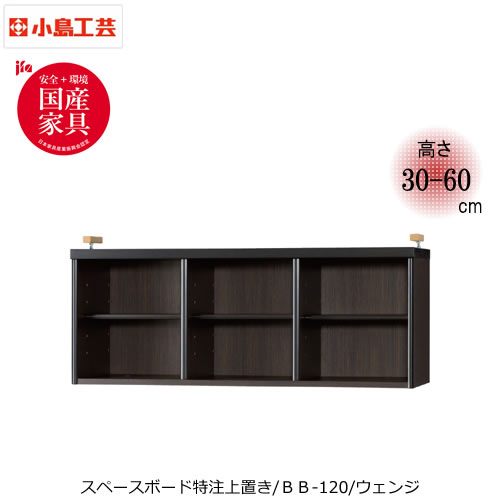 ベーシックボートクチュウBBー120ウェンジ