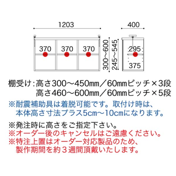 ベーシックボートクチュウBBー120ウェンジ