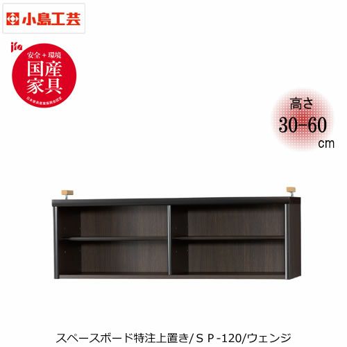 スペースボードトクチュウSP-120ウェンジ