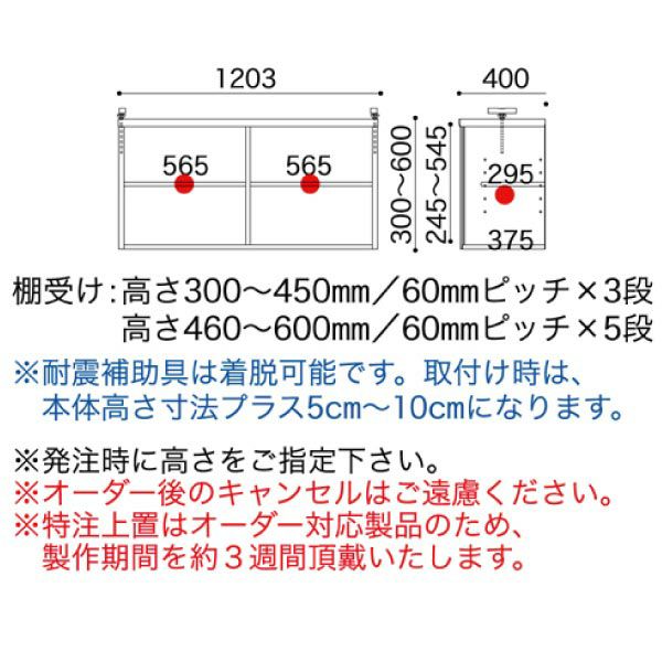 スペースボードトクチュウSP-120ウェンジ