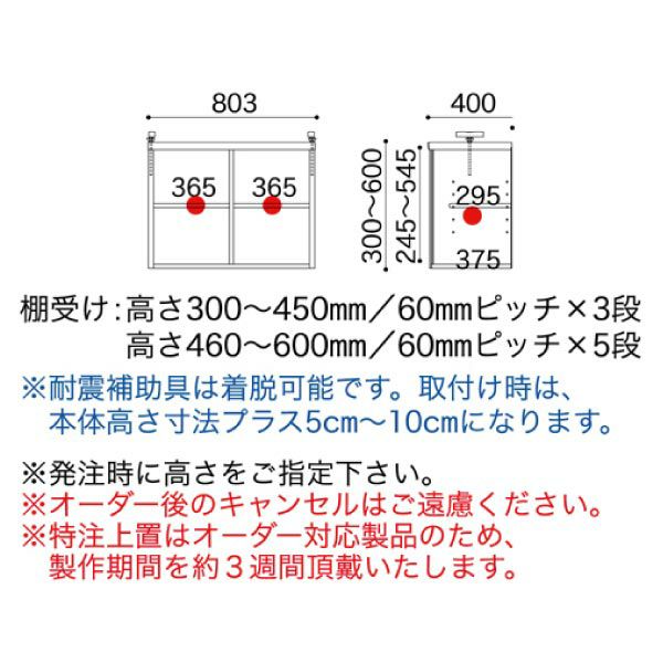 スペースボードトクチュウSP-80ウェンジ