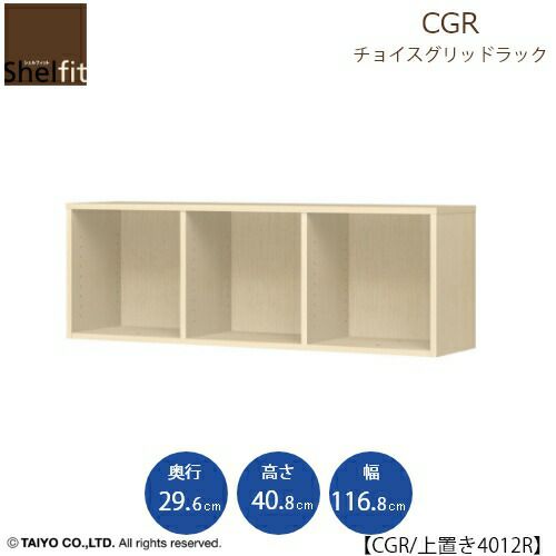 チョイスグリッドラックCGR上置き4012R〔奥行29.6cm〕【多目的ラック/オープンラック/リビング収納/オフィス/ショップ/大洋】