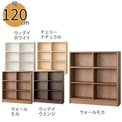 【小島工芸】本棚【低ホルム】アコード120M