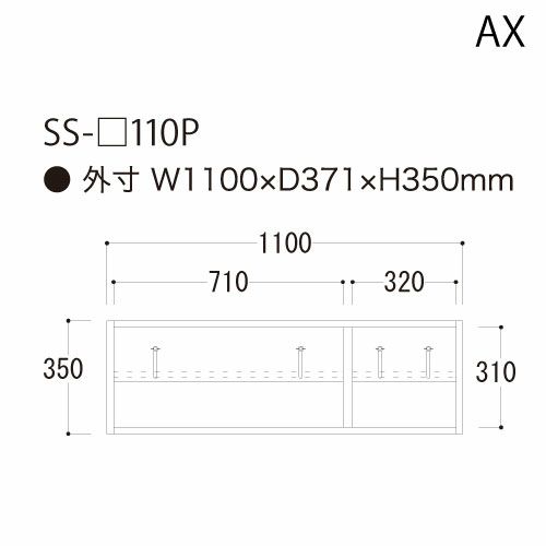 アイシス/SS-110P上置き
