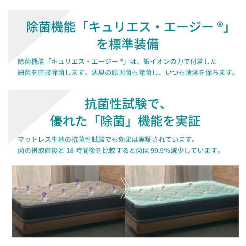 LT7000Aハードマットレスシングル【フランスベッド/オリジナル/除菌防臭】