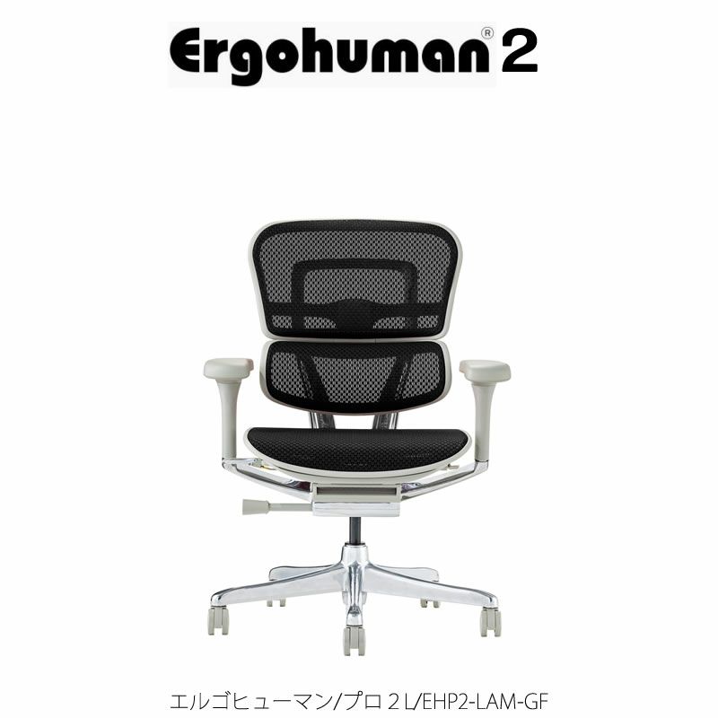 エルゴヒューマンプロ２/ロータイプ/EHP２-LAM-GF【Ergohuman/オフィスチェア/在宅/ホームオフィス/関家具】