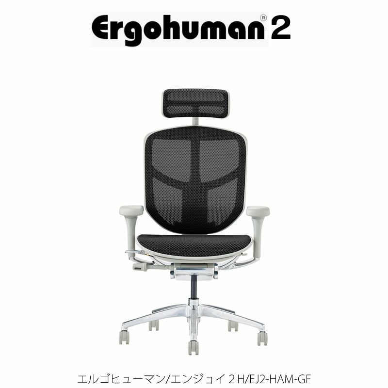 エルゴヒューマンエンジョイ2 ハイタイプ EJ2-HAM-GF オフィス