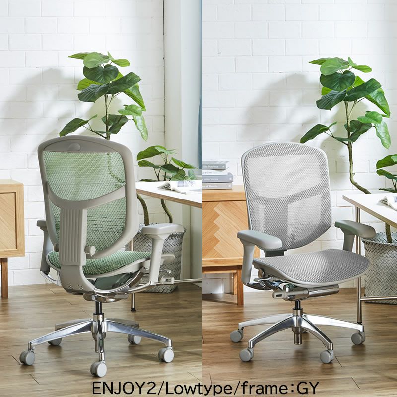 エルゴヒューマンエンジョイ２/ロータイプ/EJ２-LAM-GF【Ergohuman/オフィスチェア/在宅/ホームオフィス/関家具】