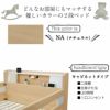 2段ベッドカラリス/キャビネットタイプ(NA)【BUNKBED/シングル/子供部屋/寝室/入学準備/グランツ】