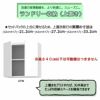 サニタリーすきまくん2LTR15-30奥行42cm/52cm洗面サイド収納